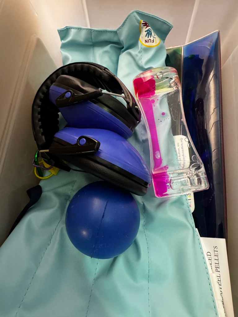 inside the sensory kit at the beaches library